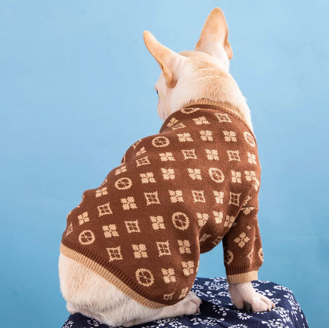 Louis Vuitton sweater
