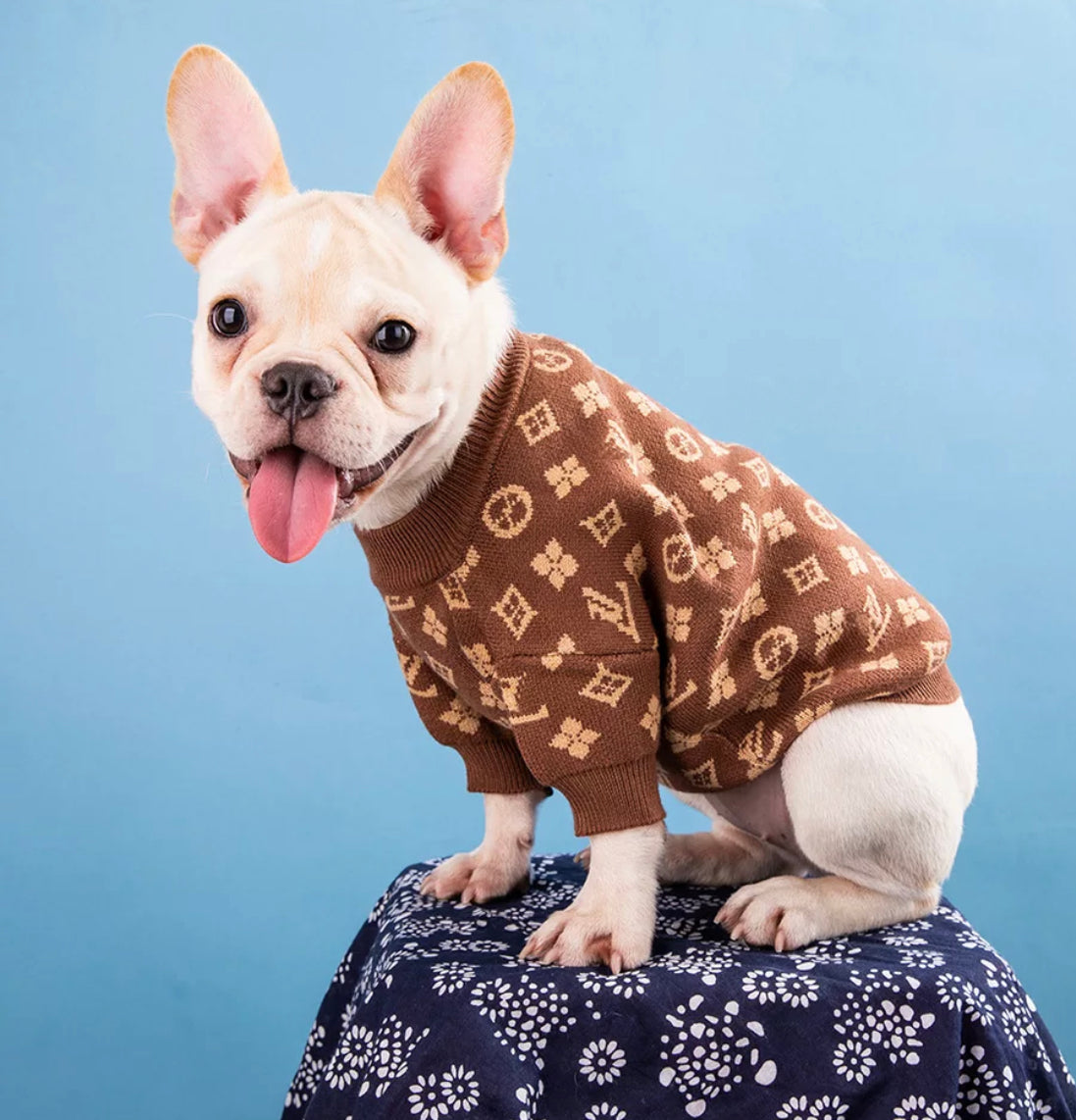 LV Cute Dog Sweatshirt